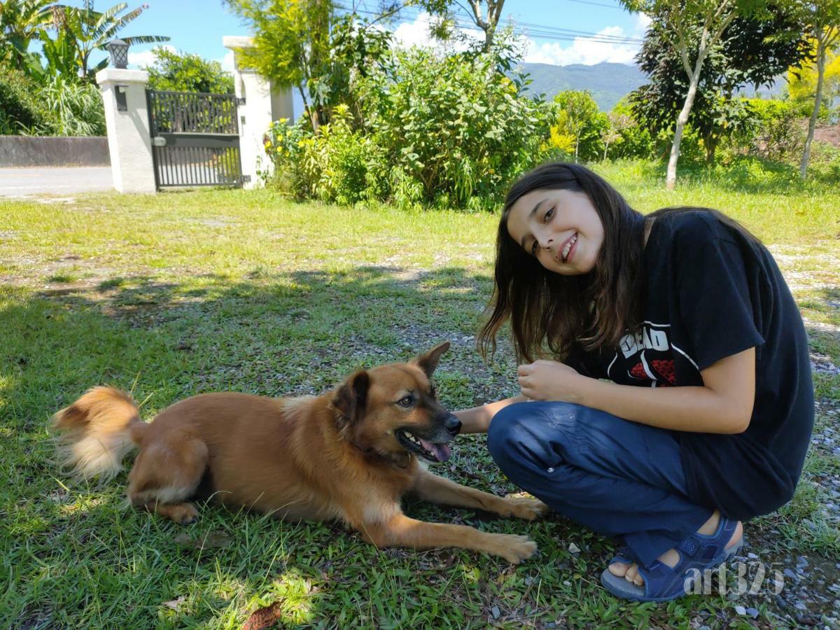 Yi Tian Homestay Fenglin Екстериор снимка